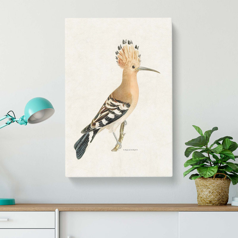 Hoopoes Bird by Von Wright - Wrapped Canvas, 76cm H x 50cm W x 3cm D