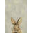 'What Up Rabbit' Print on Wrapped Canvas-27175460