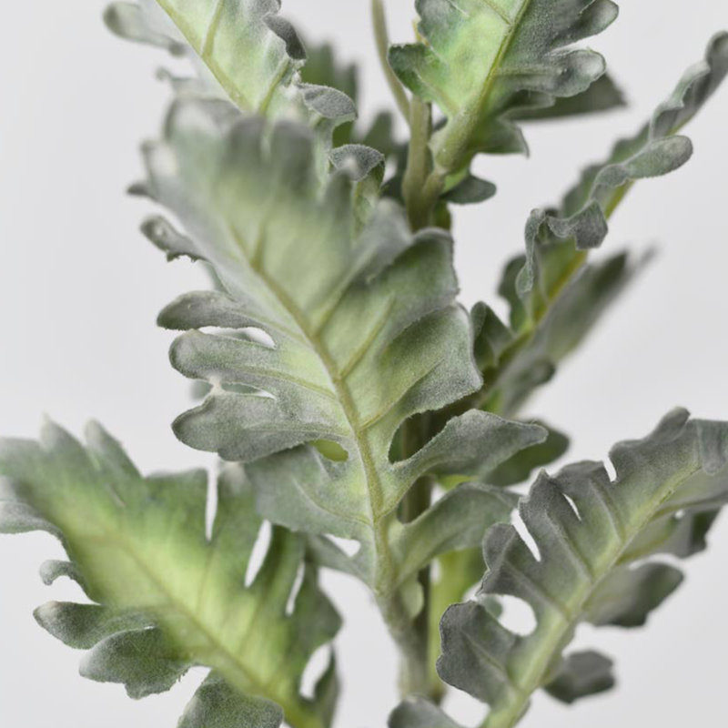 Audet vert faux Senecio Cineraria (1 tige)