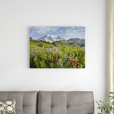 " Paradise Meadow And Mount Rainier, Mount Rainier National Park, Washington " by Tim Fitzharris