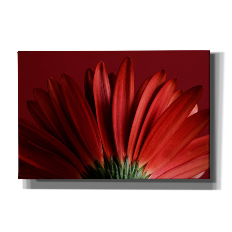 «Red Gerbera On Red 09 on Canvas» par Tom Quartermaine, reproduction, H 12 po x l 18 po x P 0,75 po