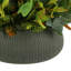 Outdoor Croton And Fittonia Arrangement In A Round Fiberstone Planter