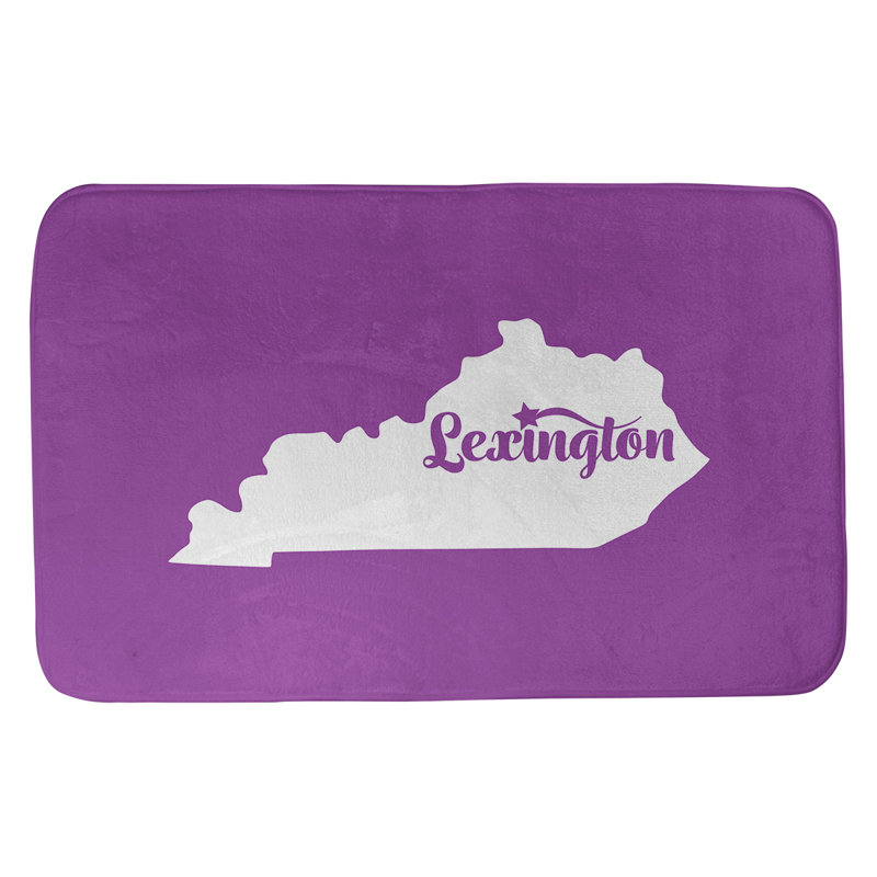 Tapis pour salle de bain en microfibre rectangulaire antidérapant antidérapant, L 21 po x L 34 po, Violet
