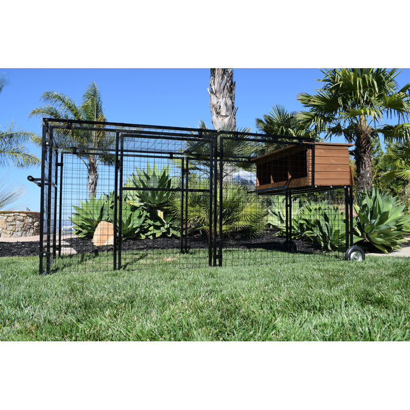 Polk 12.3 Square Feet Chicken Coop with Chicken Run For Up To 4 Chickens