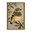  Tapis lavable européen Greenfinch Birds-1787454537