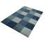 Plaid Area Rug in Blue