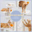 143cm H Cat Tree-100556300-100556302