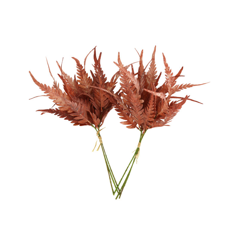 Fern Bundle (Set of 2), Rust
