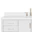 Magnolia Bath Vanity Oval Basin S061SWQ-983004167