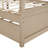 Canopy Bed With Trundle-72895106