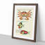 East Indies Fish & Crab Illustrations XXXIX by Louis Renard - Picture Frame Painting Print-55547434-55547439