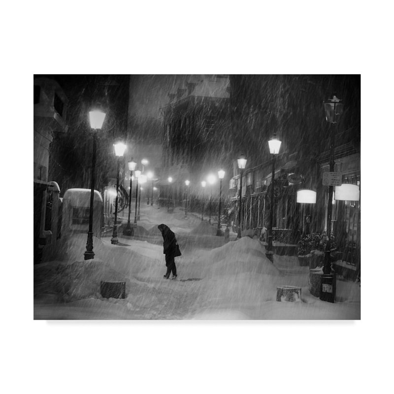 Hoya «Tombe La Neige I», reproduction de photo sur toile tendue, H 14 po x l 19 po x P 2 po