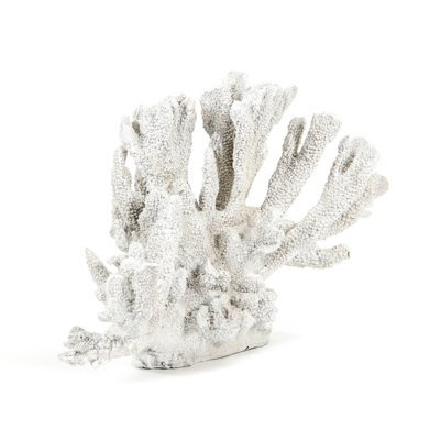 Yardley Coral Statue