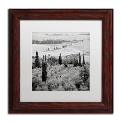 Alan Blaustein " Tuscany VI " by Alan Blaustein