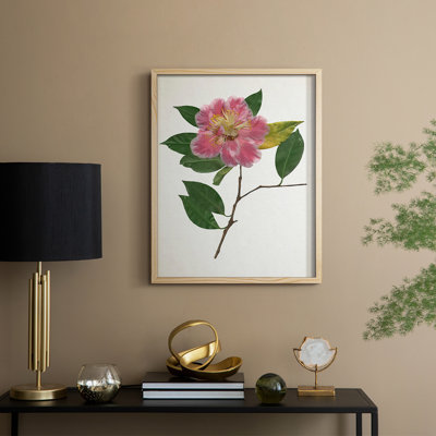 PressedCamelliaII Framed Print - Solid Wood