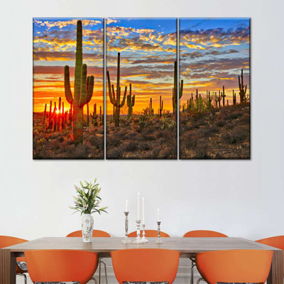 " Sunset Cactus " 3 - Pieces