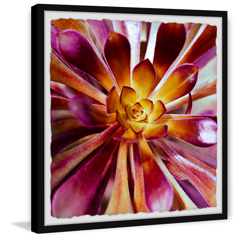 Exotic Succulent - Single Picture Frame Painting, 41 cm H x 41 cm W