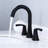 2-handle Bathroom Faucet with Drain Assembly-86701133