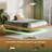 Queen Floating Bed Frame With Led Lights, Wave Curve Bed With Heavy Duty Metal Slats-265568592-265568595