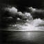 Moonlit Bay I Print by Levinstone, Donna