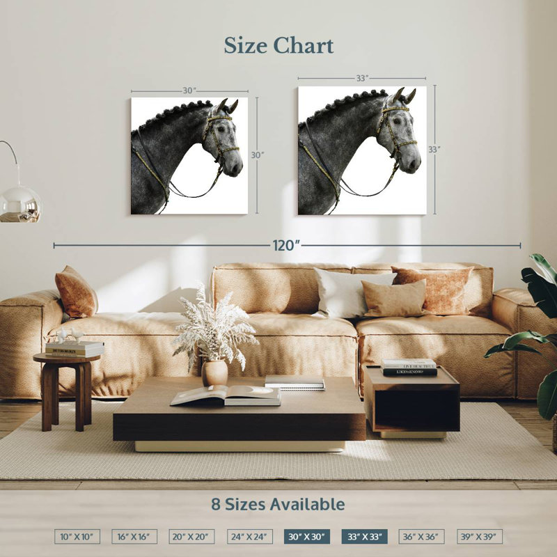 Brampt Gray Spanish Horse