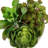 8'' Faux Succulent Plant