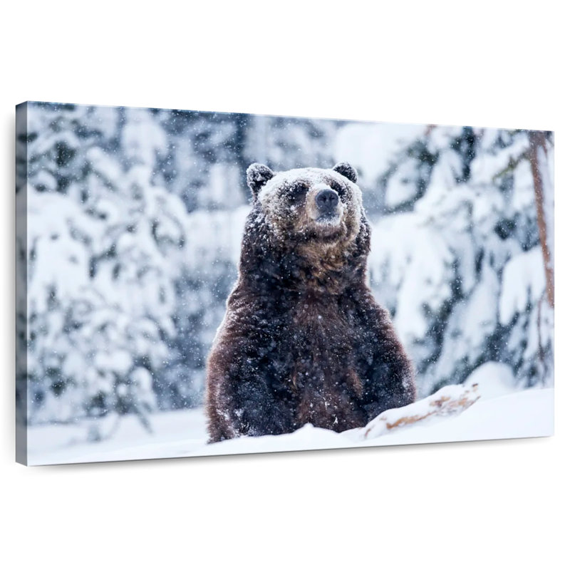 Grizzly dans la neige, H 30 po x l 45 po