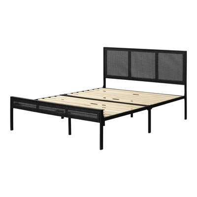 Hoya Bed