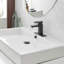 Robinet de salle de bain à un trou-106069677