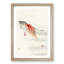 Two Carp by Ohara Koson - Framed Print-55614423-55614426
