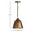 1-Light Dimmable Metal Single Pendant-819697996