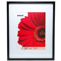 Mikasa Gallery 8x10-Inch Matted Picture Frame, 16x20-Matted 8x10