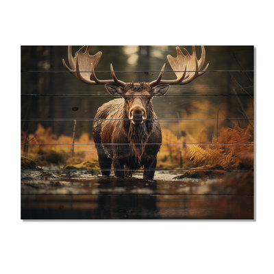Ishmam " Canada Majestic Moose III "