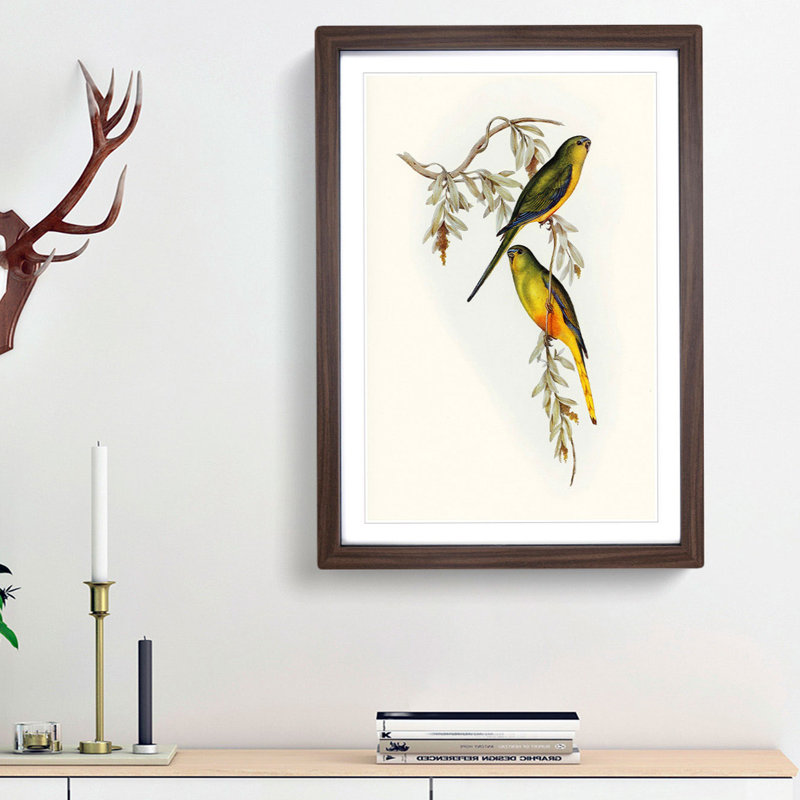Orange-Bellied Grass-Parakeets by Elizabeth Gould - Picture Frame Painting Print, 36cm H x 27cm W x 2cm D, Walnut Framed