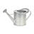 Valta Galvanized Metal Decorative Watering Can