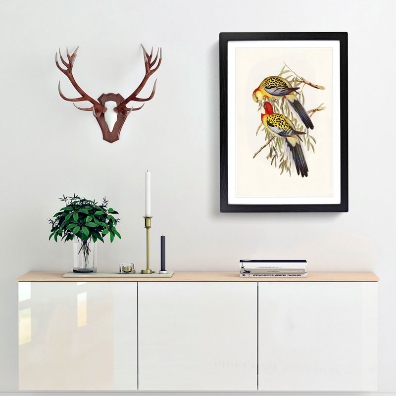 Splendid Parakeets by Elizabeth Gould - Picture Frame Painting Print, 48cm H x 36cm W x 2cm D, Black Framed