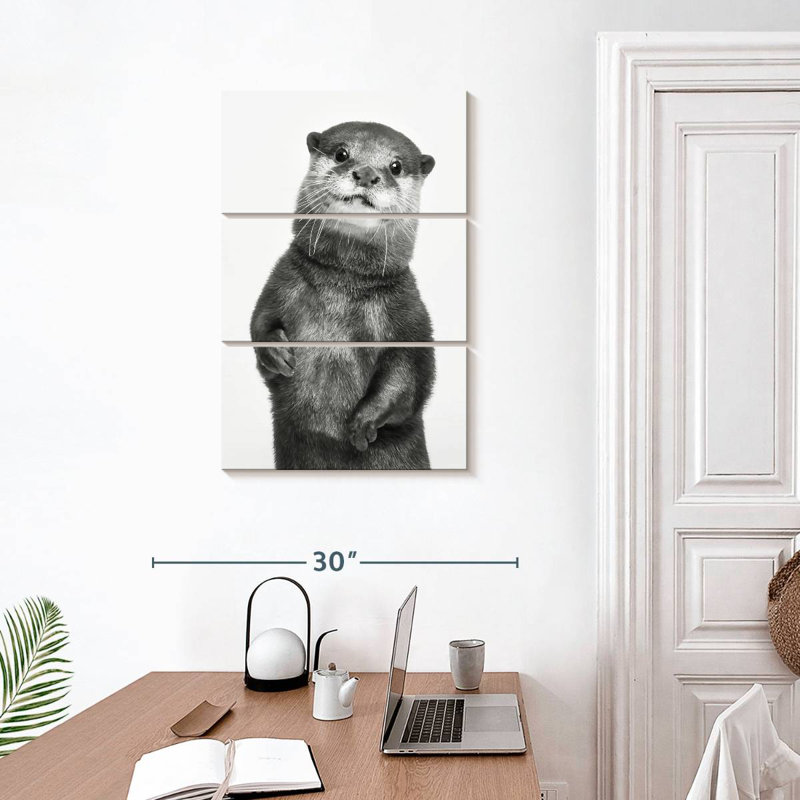 Loutre Brampt