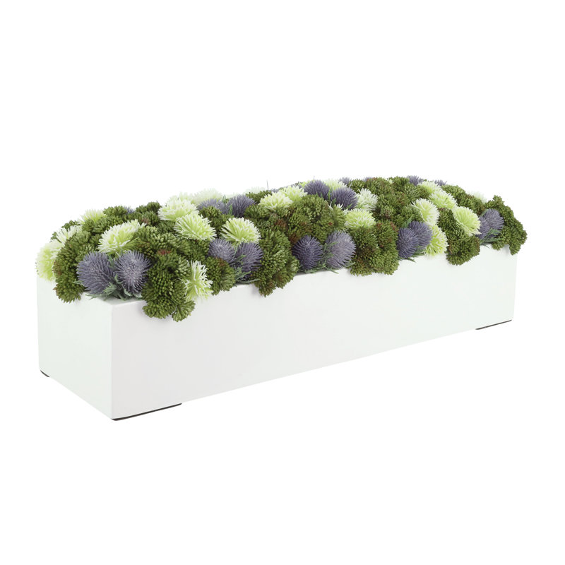 Sedum and Thistle Arranged in Rectangular Planter