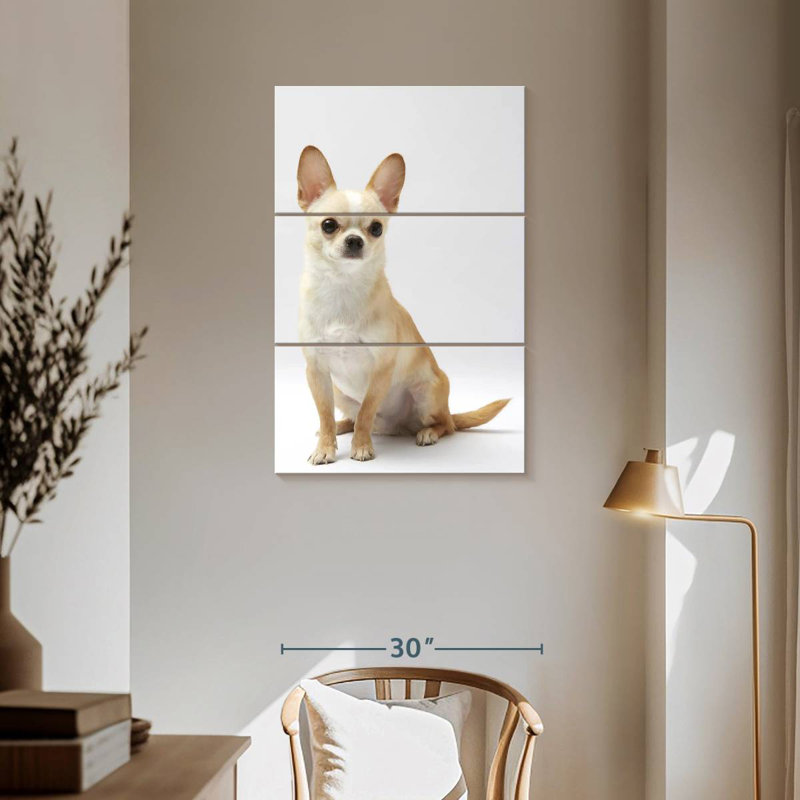 Brampt Seated Chihuahua, 57" H x 36" W
