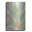 «Succulent Bloom 1» par Stellar Design Studio, art mural en métal, 16 po x 24 po-825787761