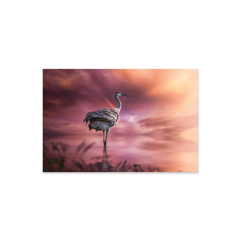 Sandhill Crane par Patsy Weingart - impression sans cadre