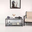 Alamance Frame Coffee Table with Storage-1896056141