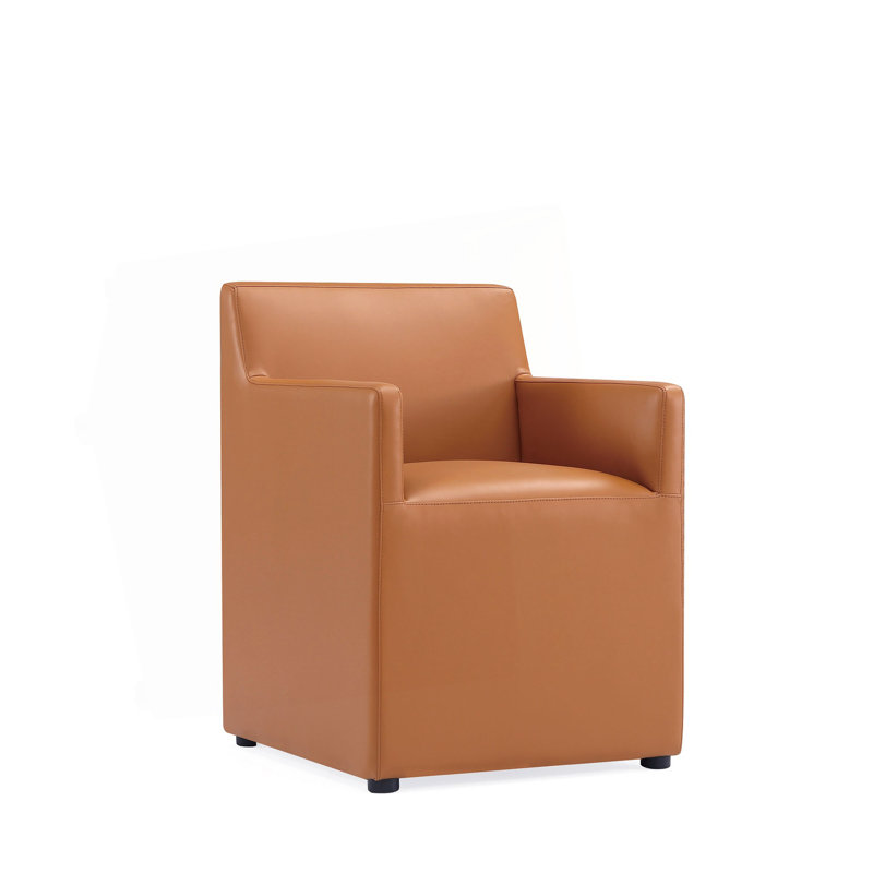 Fauteuil brun selle, Brun