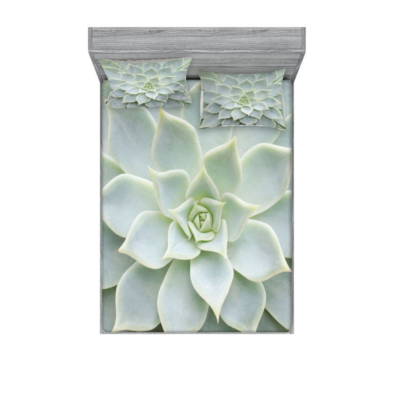 Drap-housse et coussin décoratif Ambesonne Desert, vert sauge, Ensemble de draps pour très grand lit californien