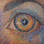 Vibrant Vision