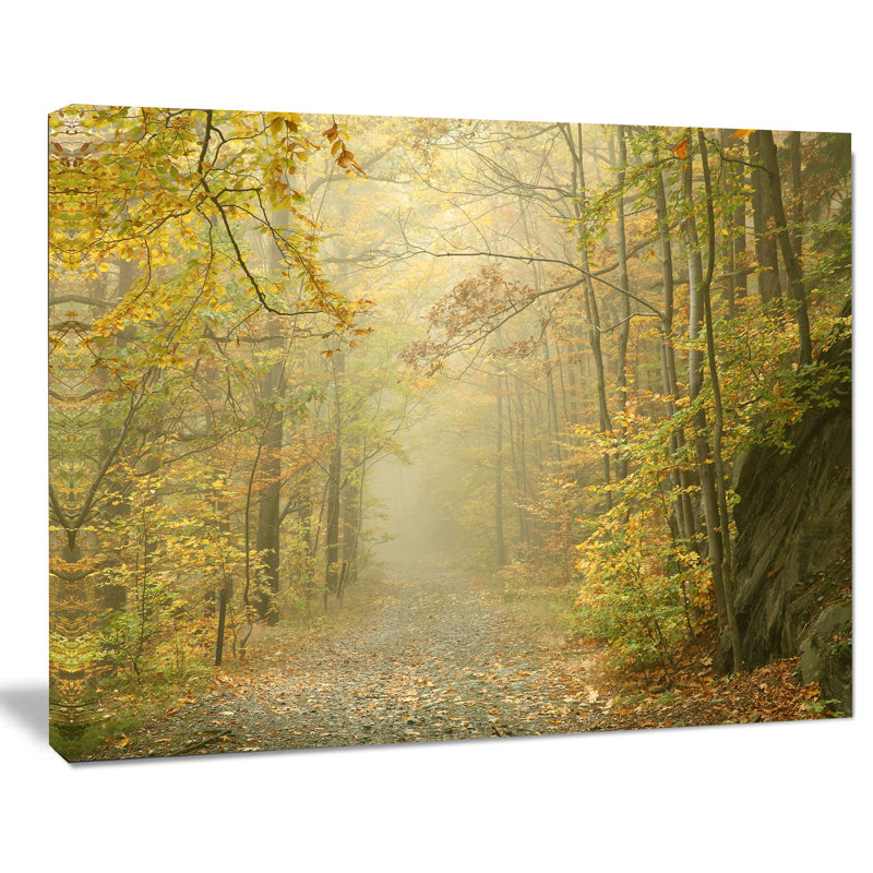 « automne forest path on misty matin », reproduction de photo sur toile tendue, H 20 po x l 20 po x P 1 po