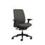 Steelcase Amia Ergonomic Task Chair-323515491-334359739-323515497
