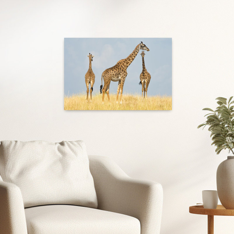 Wild Giraffe Trio Abstract Contemporary Giraffe Landscape Nature Wall Art Print, 40.64cm H x 60.96cm W