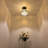 8'' 1 - Light Bowl Ceiling Fan Light Kit-1517258908