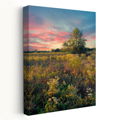 Grateful For The Day - Paysages, photographie d'art